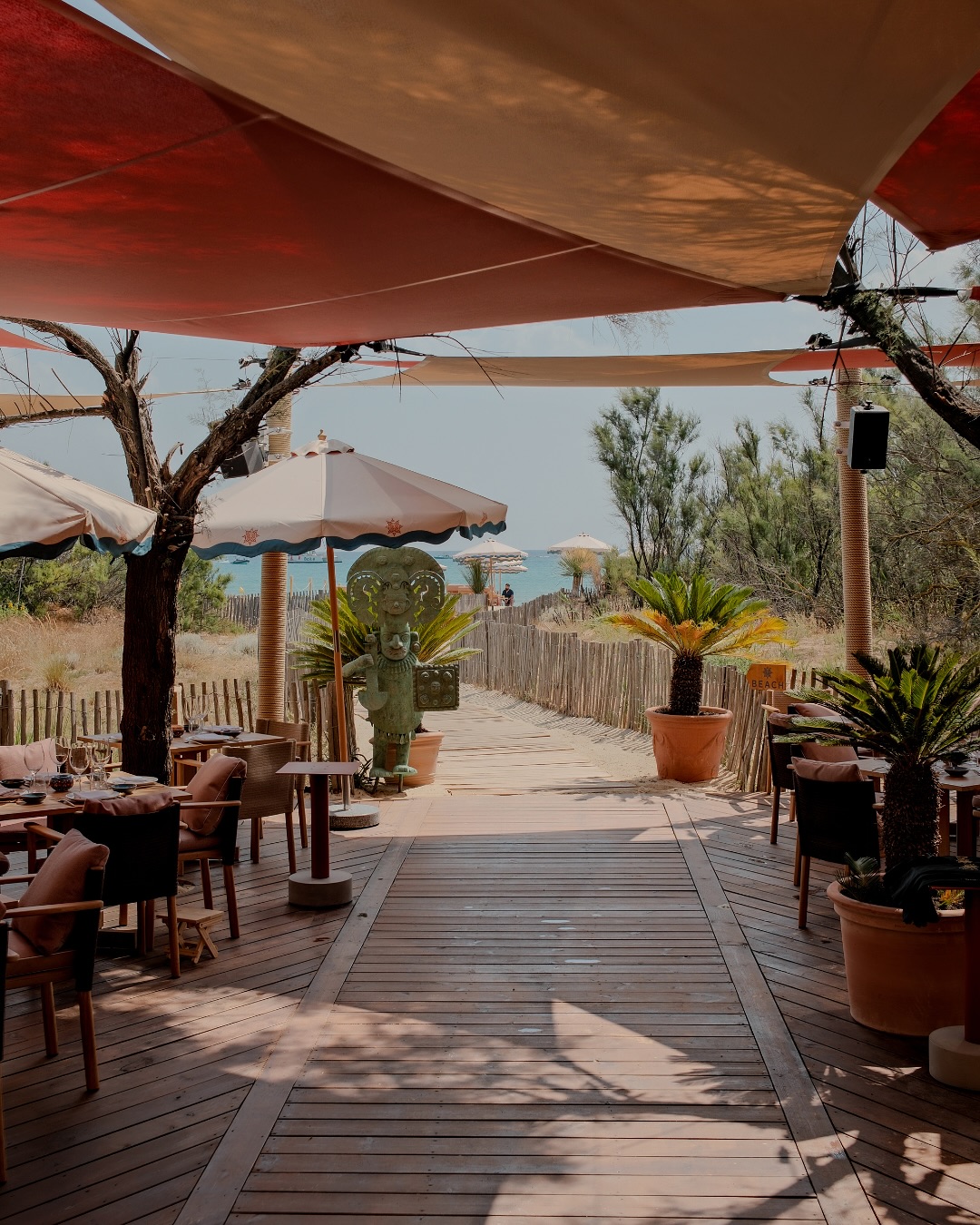 COYA, a restaurant in St. Tropez, France — photo 1