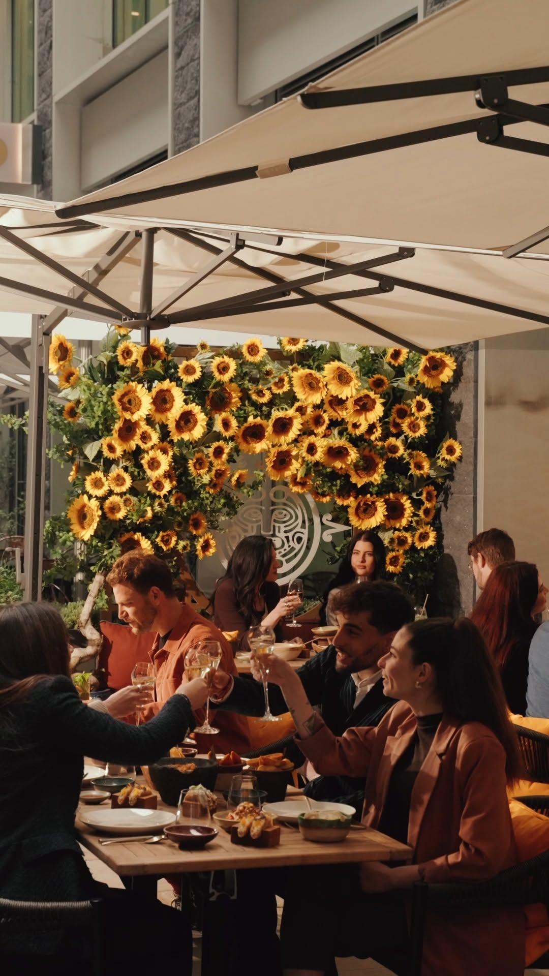 Video 1 from COYA