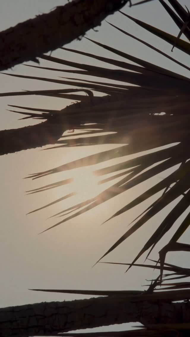 Video 4 from Coze