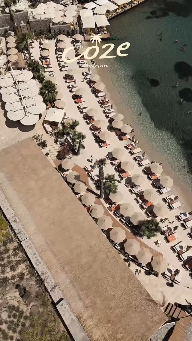 Video 5 from Coze