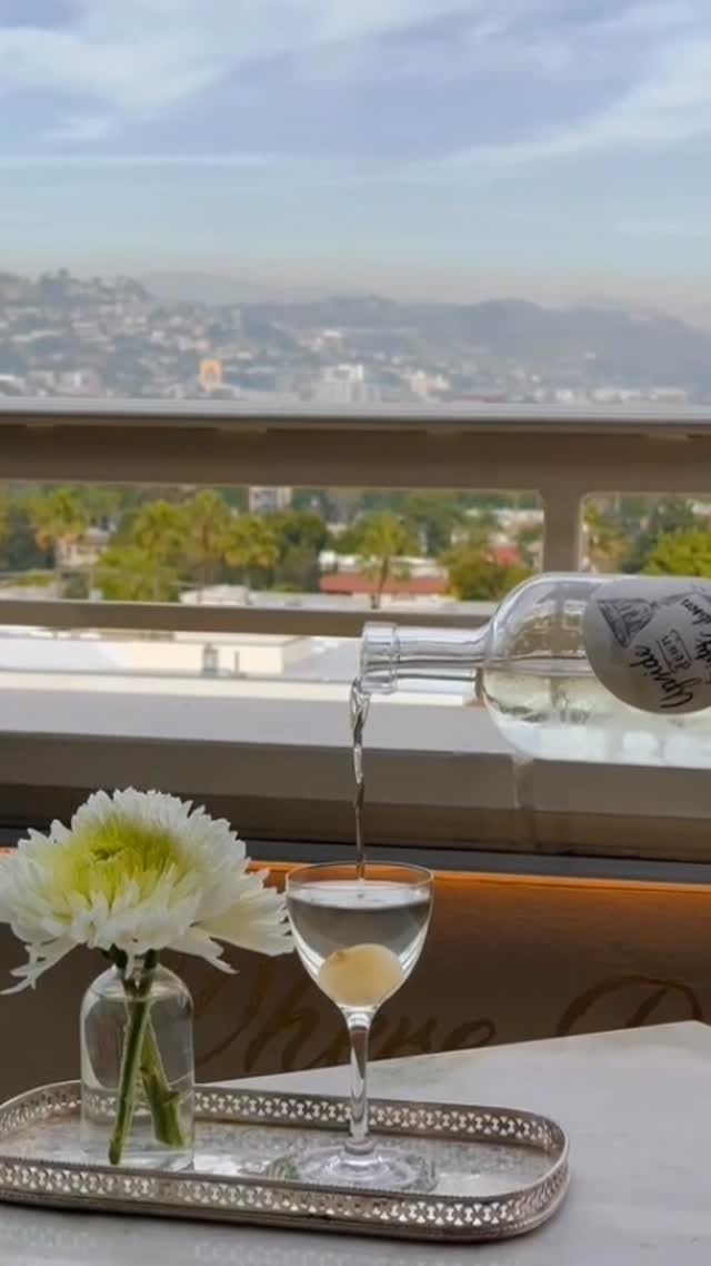 Video 2 from Dante Beverly Hills