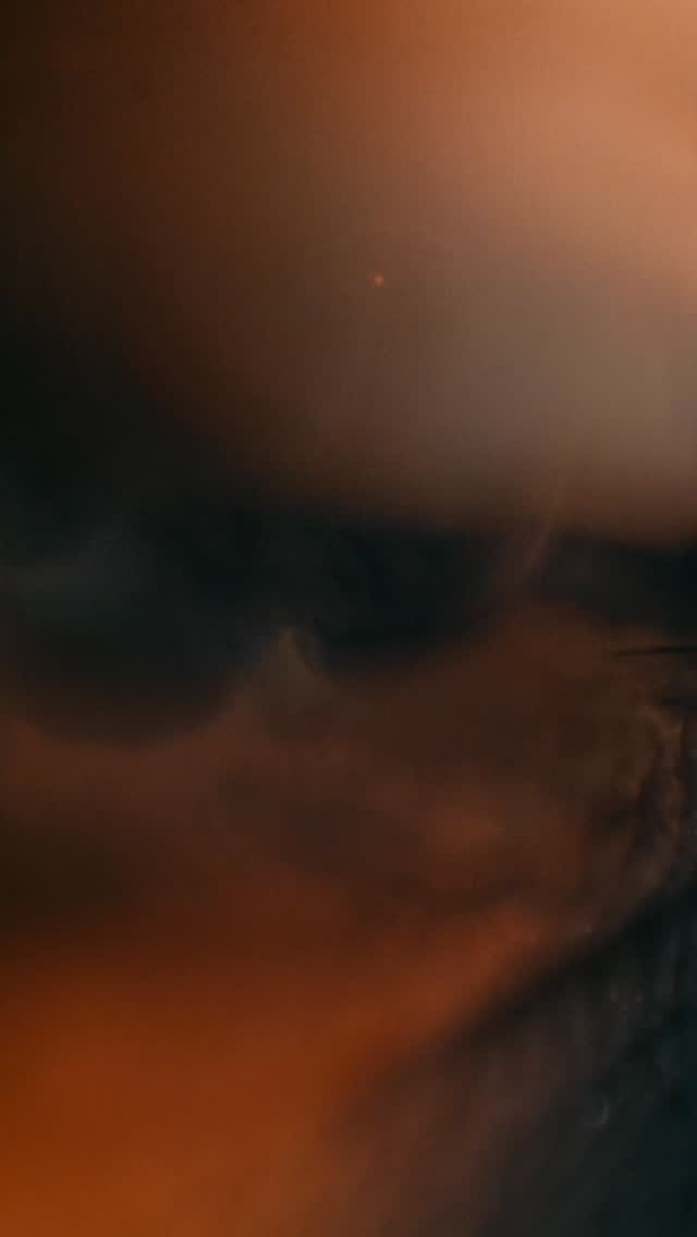 Video 4 from Deep