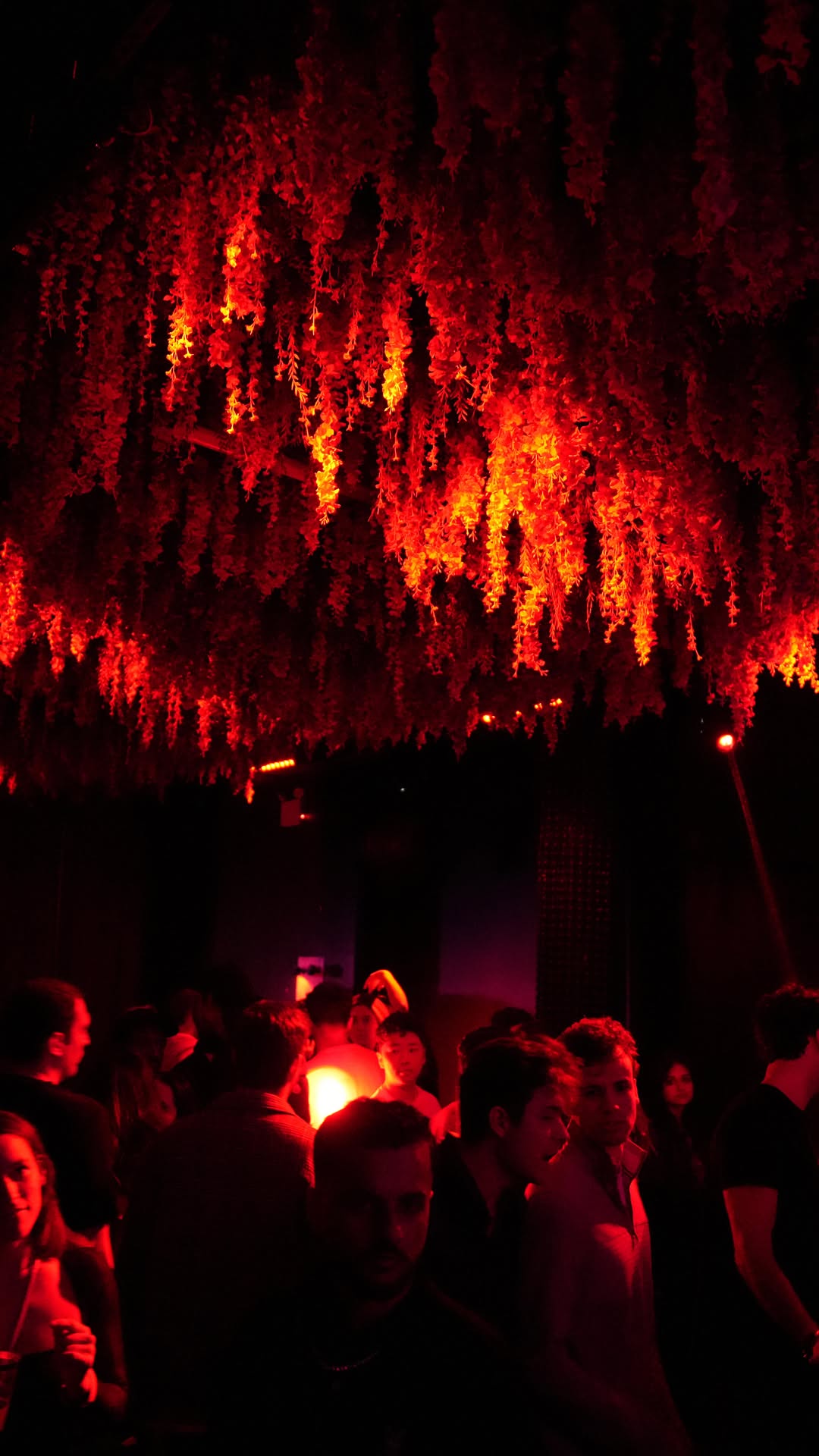 Video 4 from Eden
