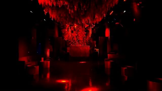 Video 6 from Eden