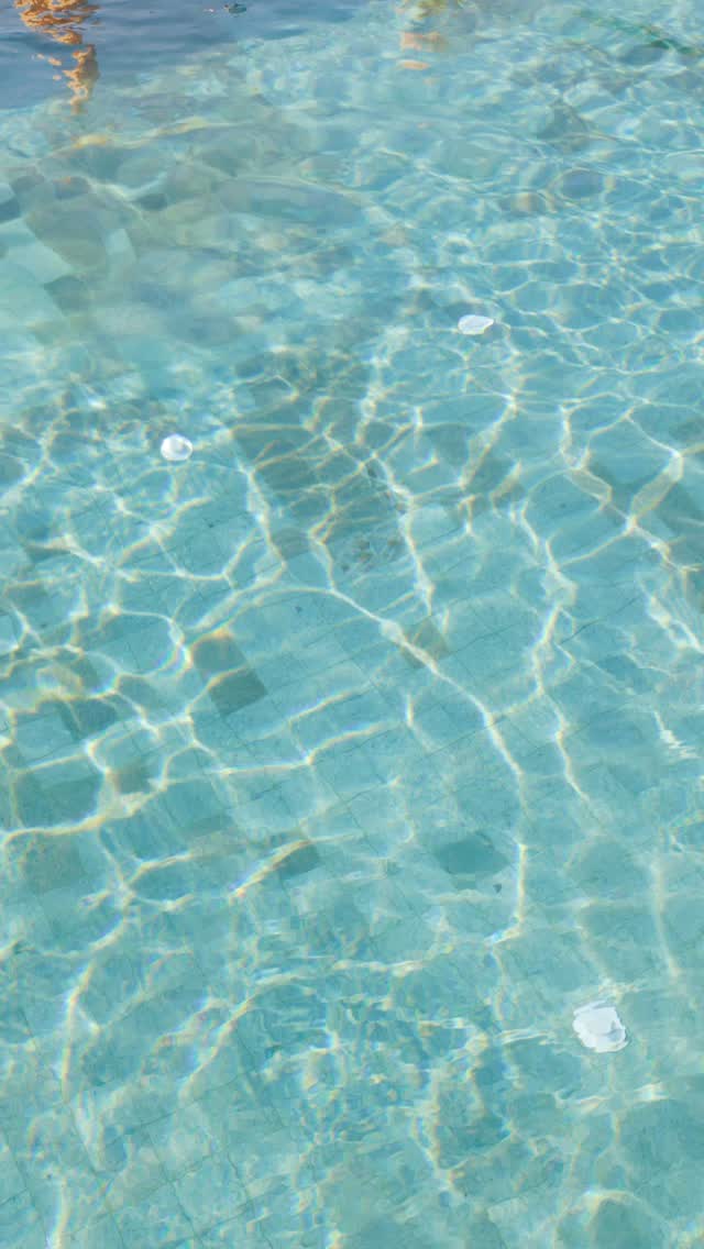 Video 3 from Egos Beach Club
