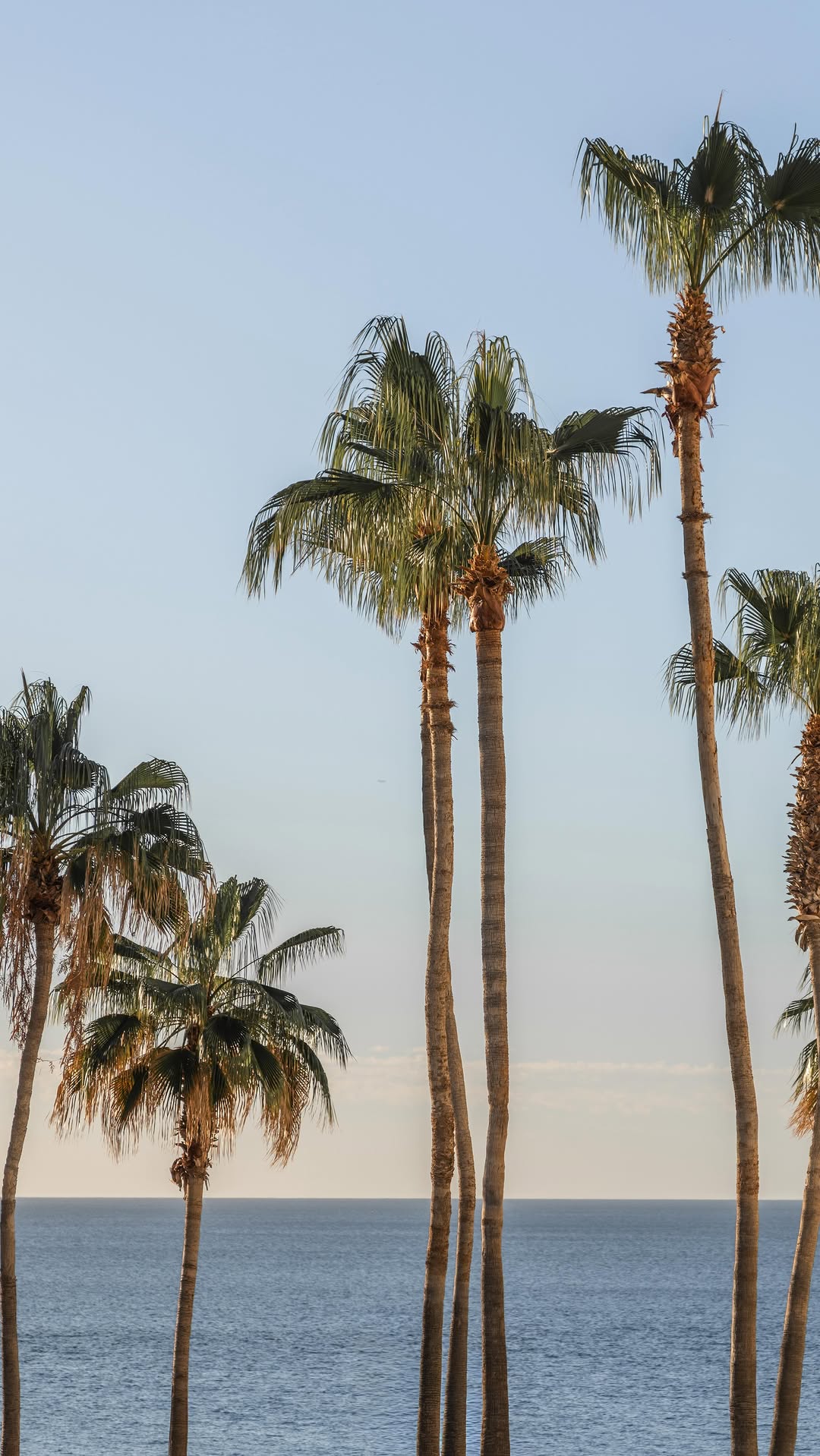 Video 1 from Enclave Beach Club at The Hilton