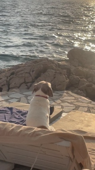 Video 3 from Falko Beach Bar