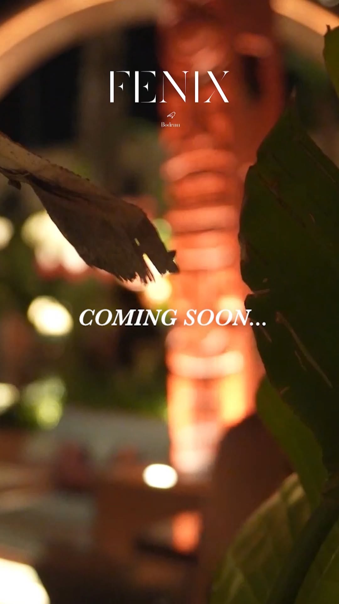 Video 6 from Fenix