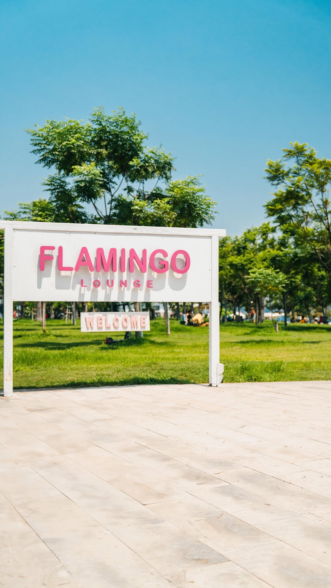 Video 8 from Flamingo Lounge  