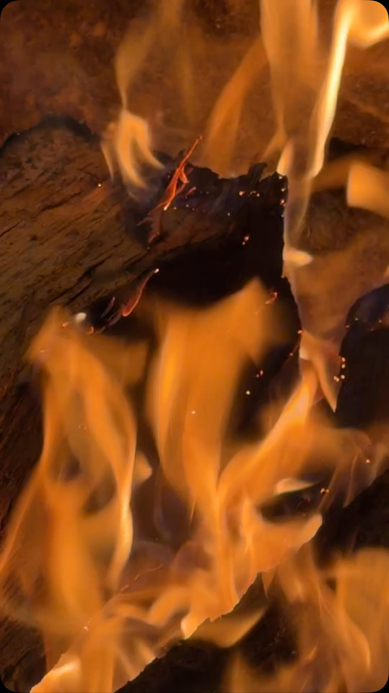 Video 1 from Garrison