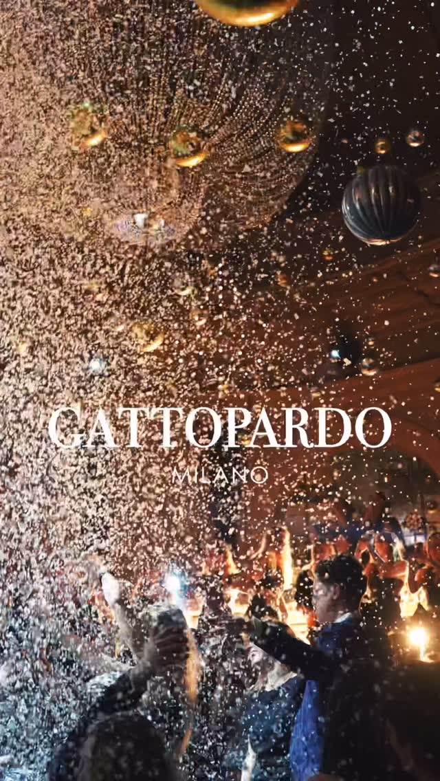 Video 3 from Gattopardo  