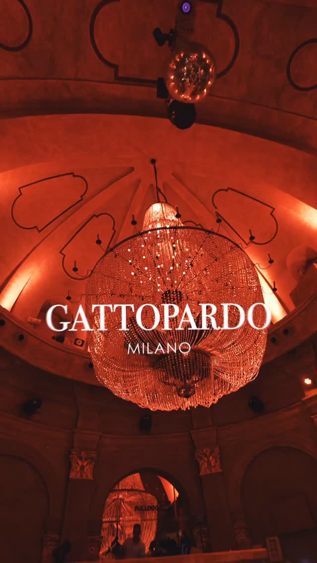 Video 7 from Gattopardo  