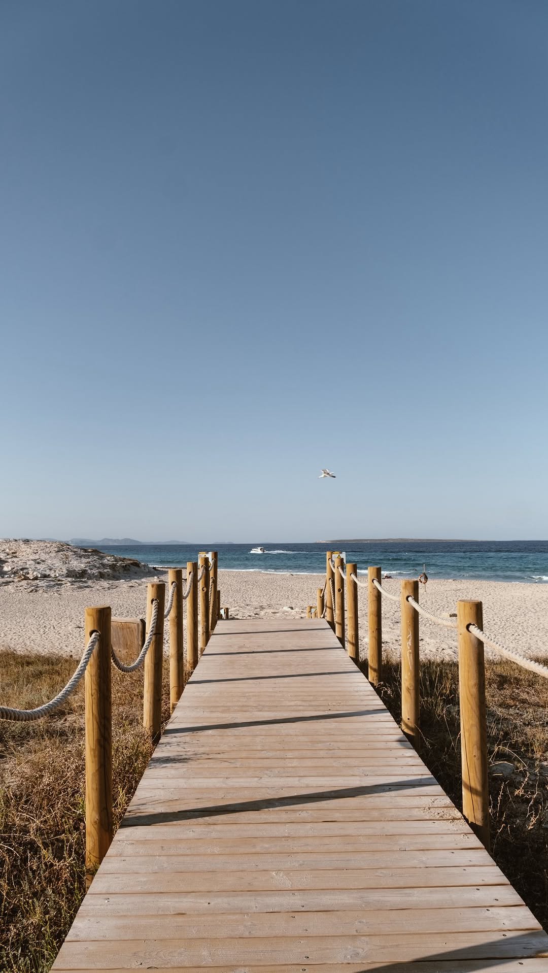 Video 7 from Gecko Beach Club