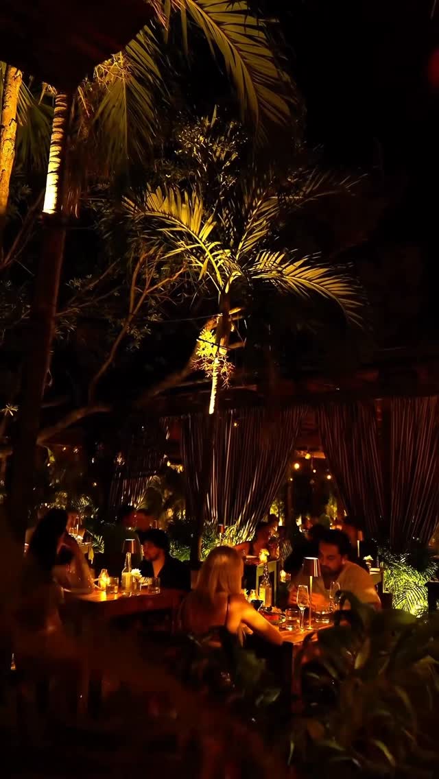 Video 7 from Gitano Jungle