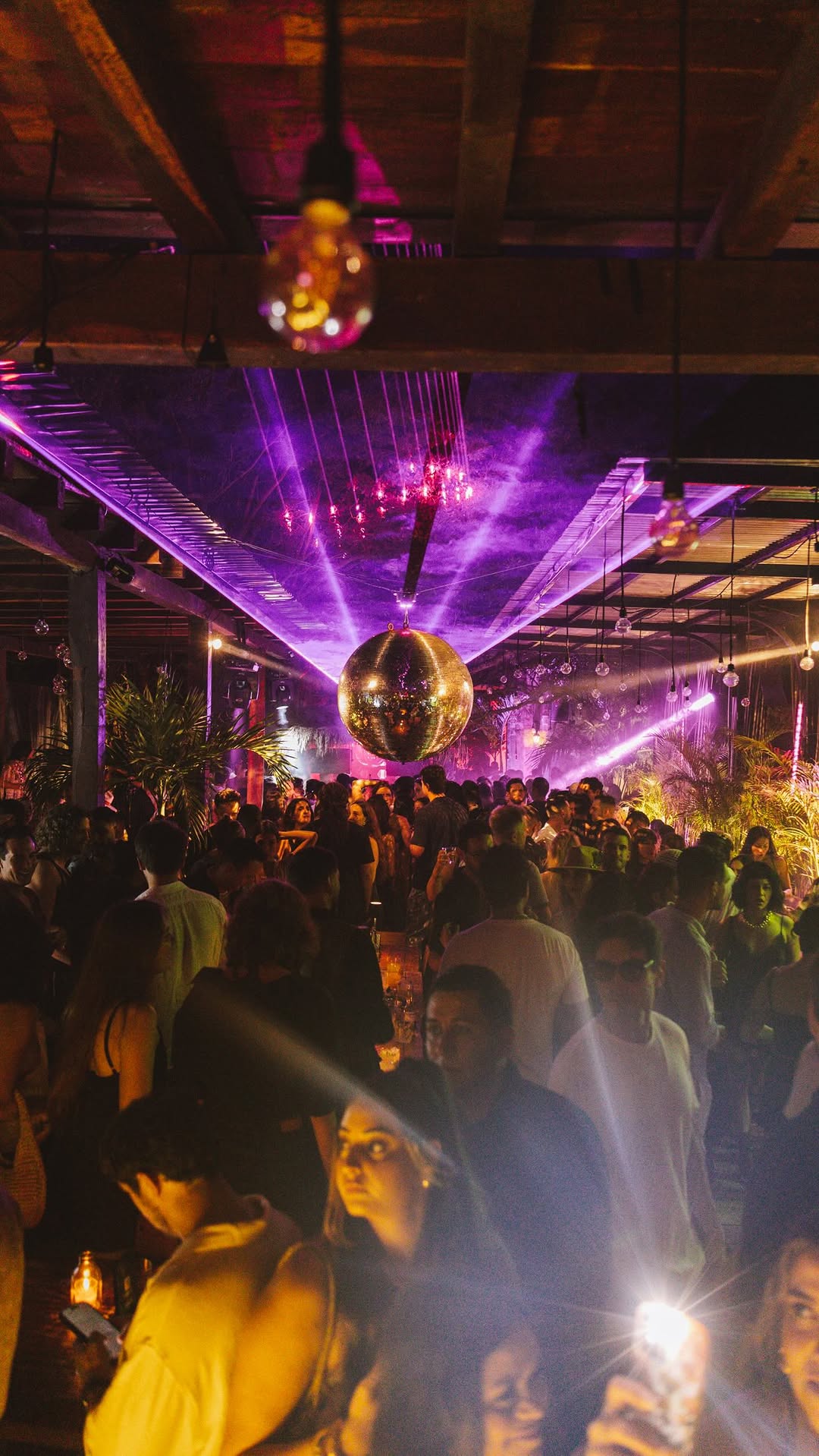 Video 8 from Gitano Jungle