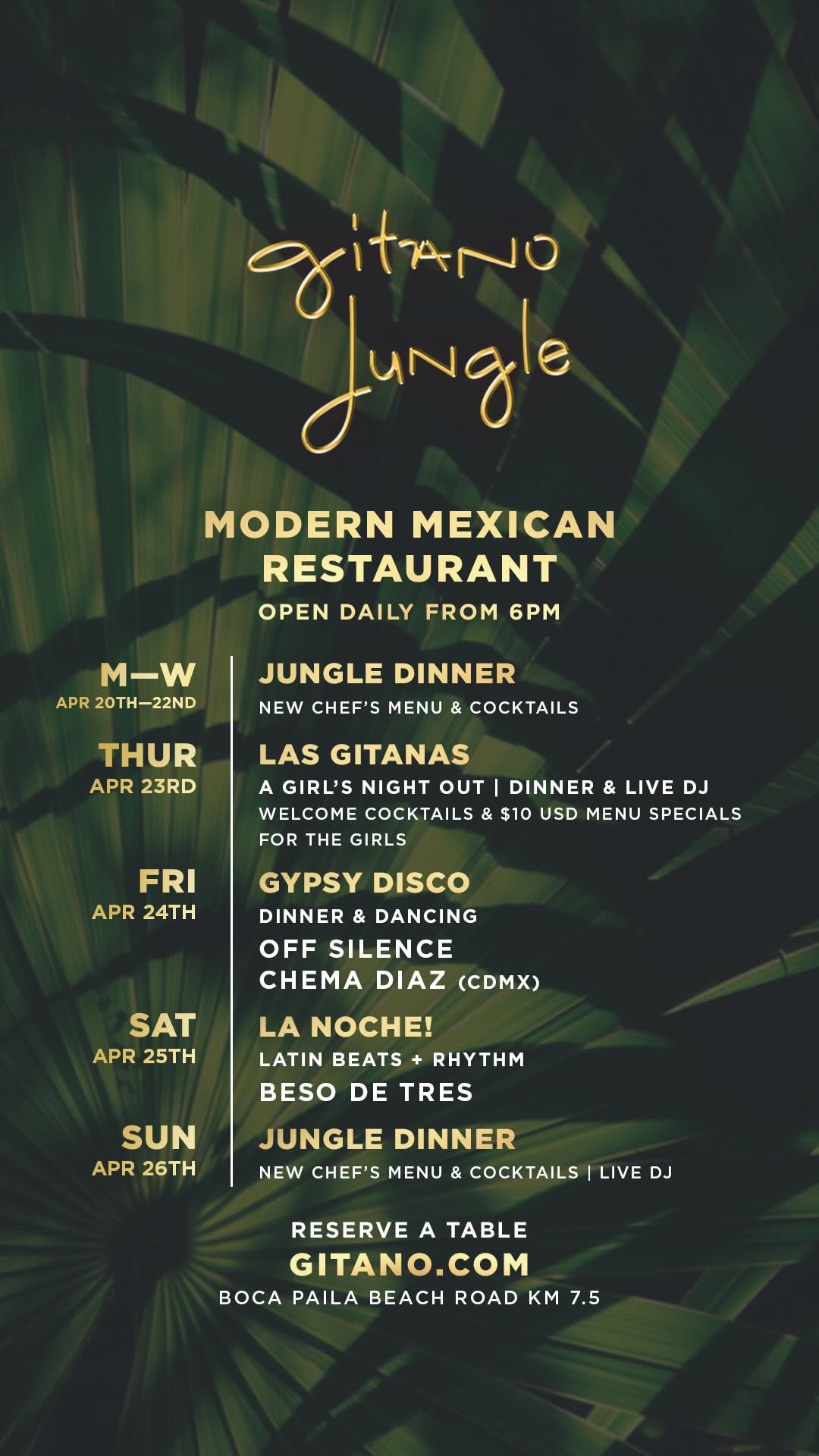 Video 1 from Gitano Jungle