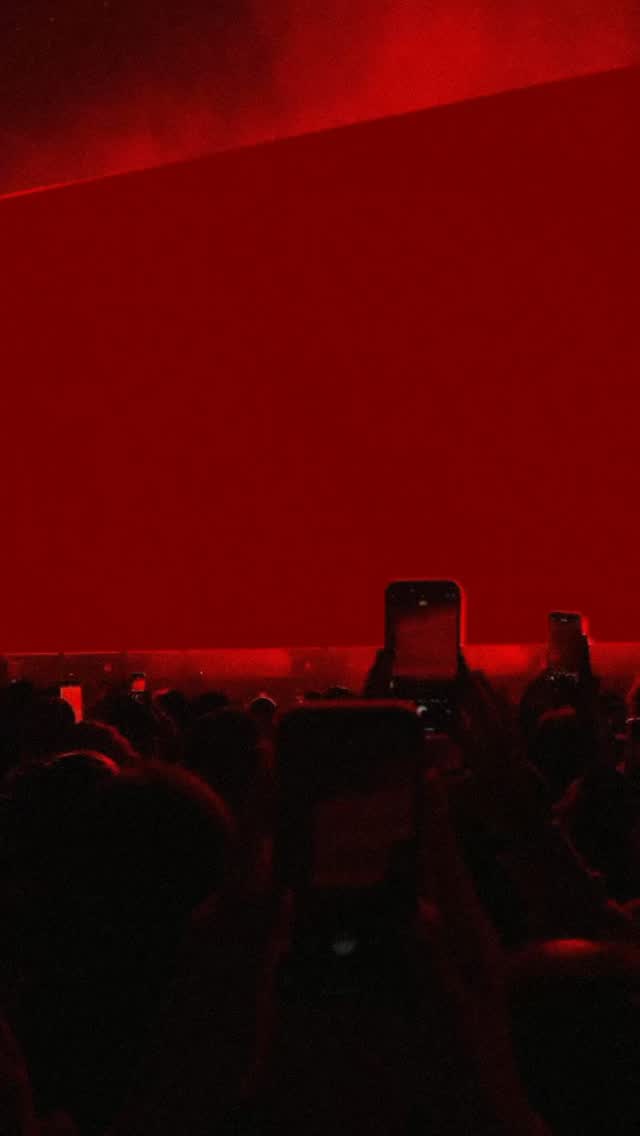 Video 5 from Golden Cut