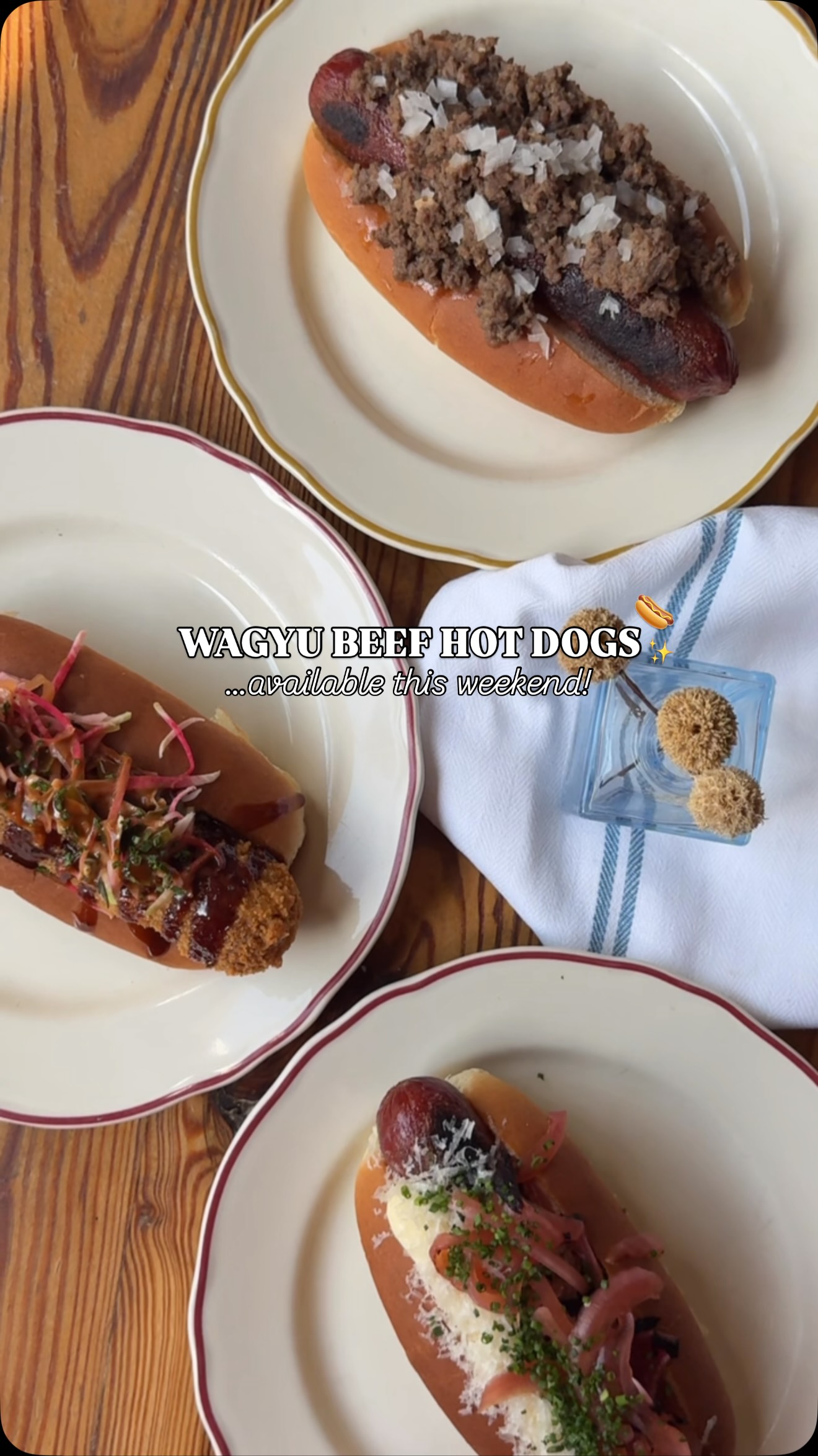 Video 5 from Haberdish
