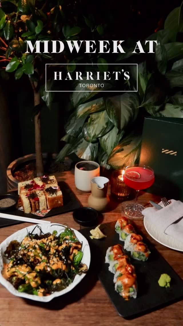 Video 1 from Harriet's Rooftop