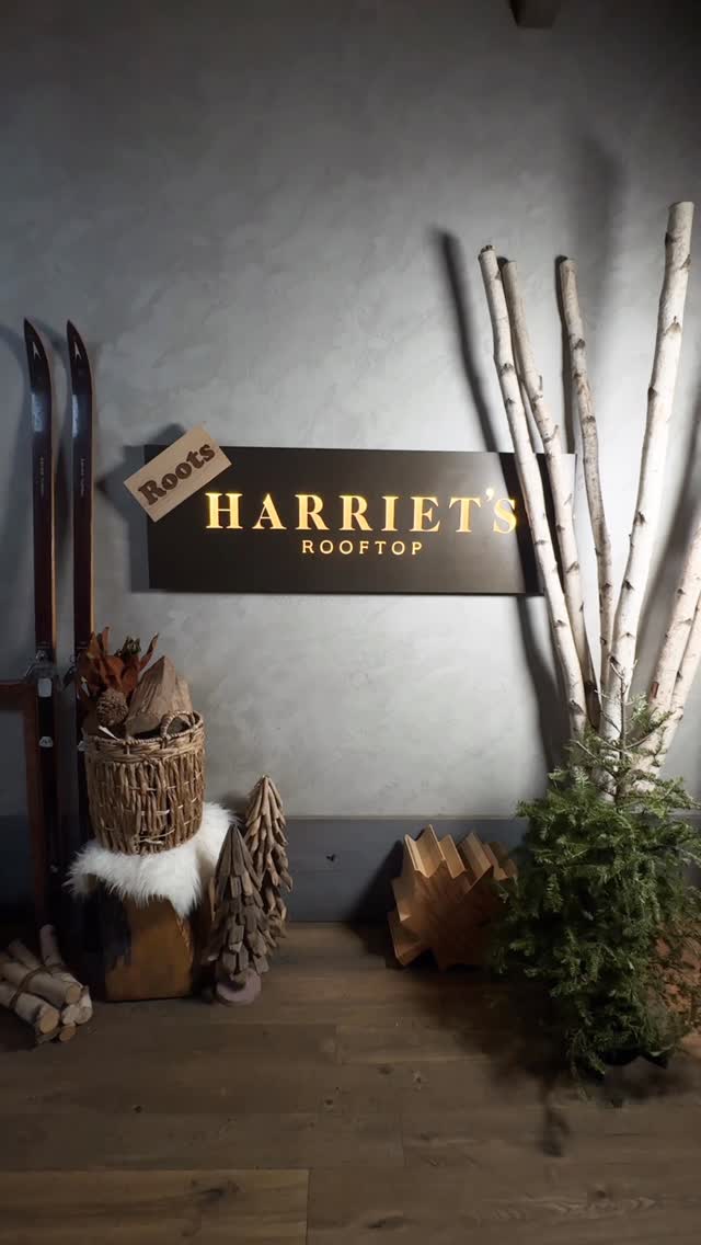 Video 4 from Harriet's Rooftop