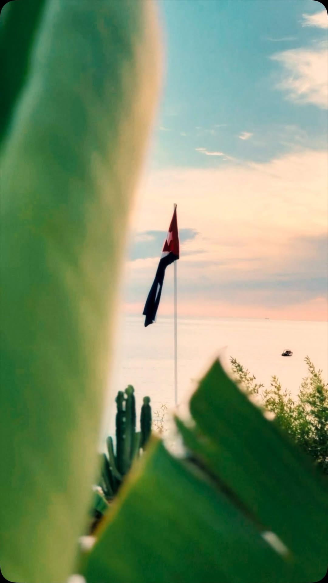 Video 1 from Havana Beach Club
