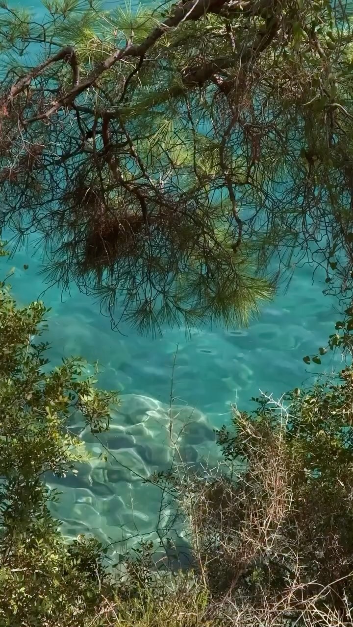 Video 4 from Hillside Beach Club