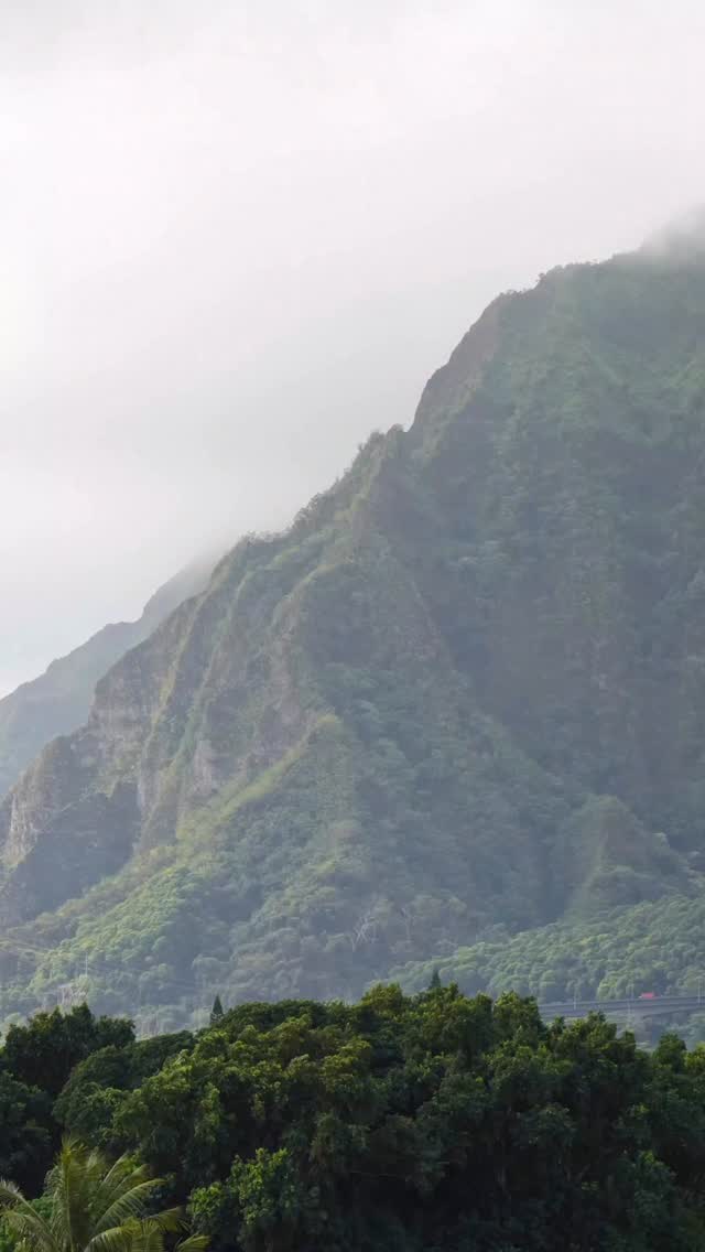 Video 8 from House Without A Key