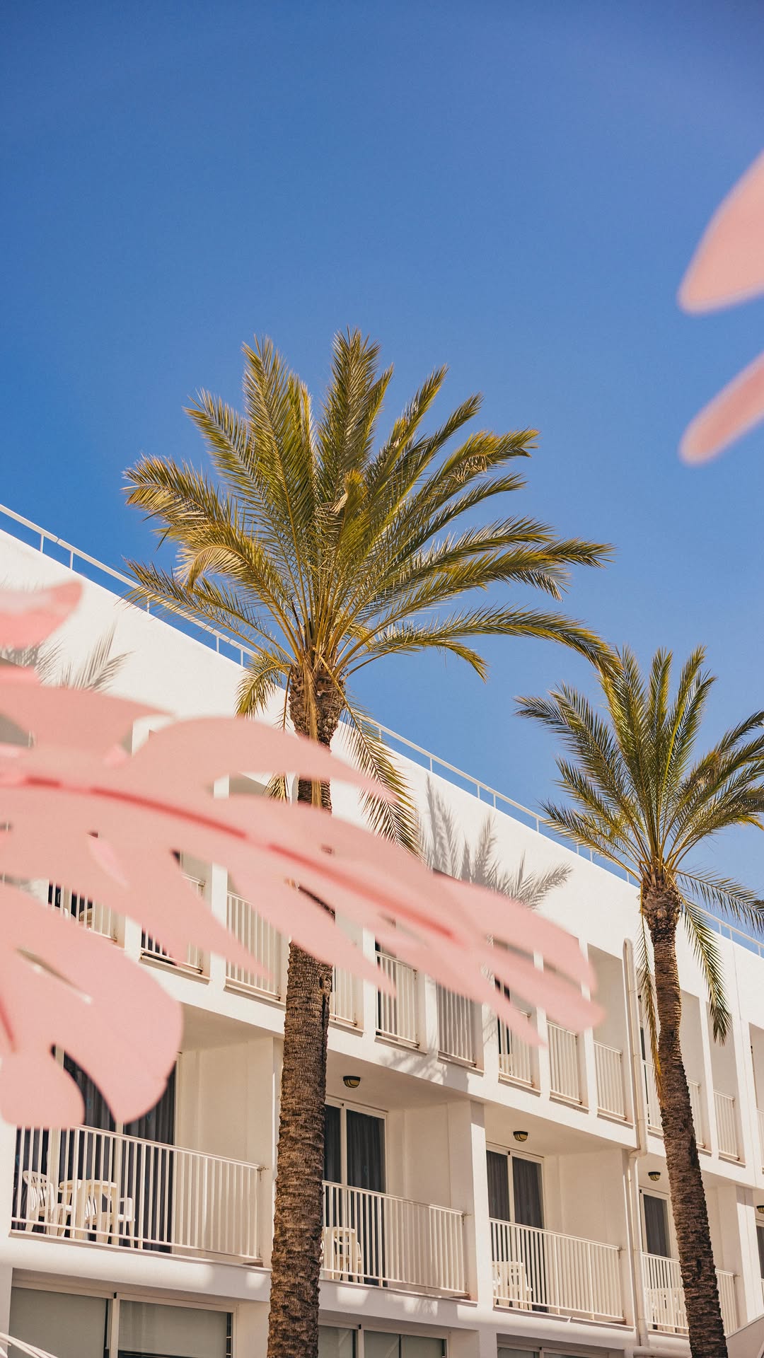 Video 5 from Ibiza Rocks Pool Club