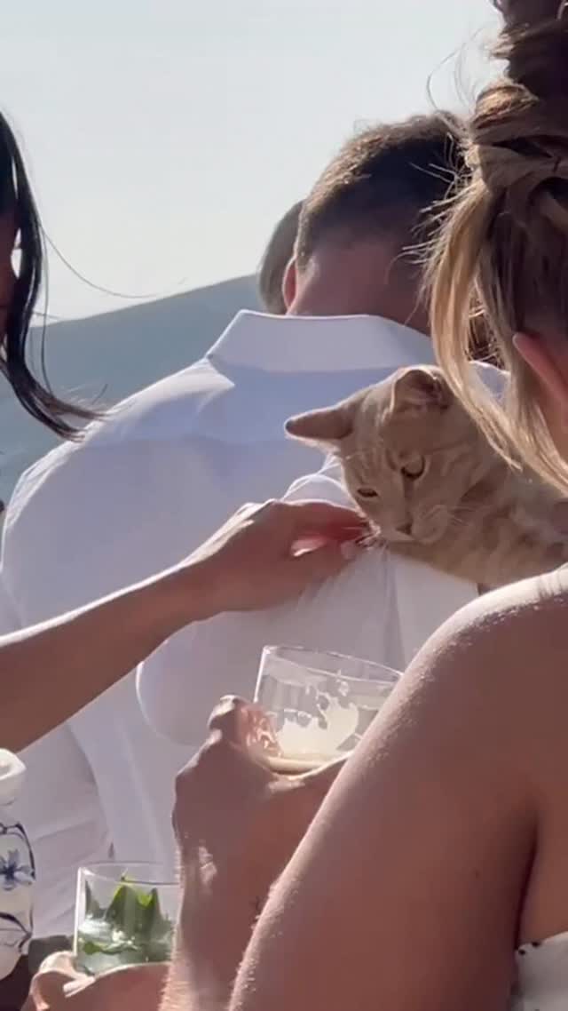 Video 1 from Ios Club 