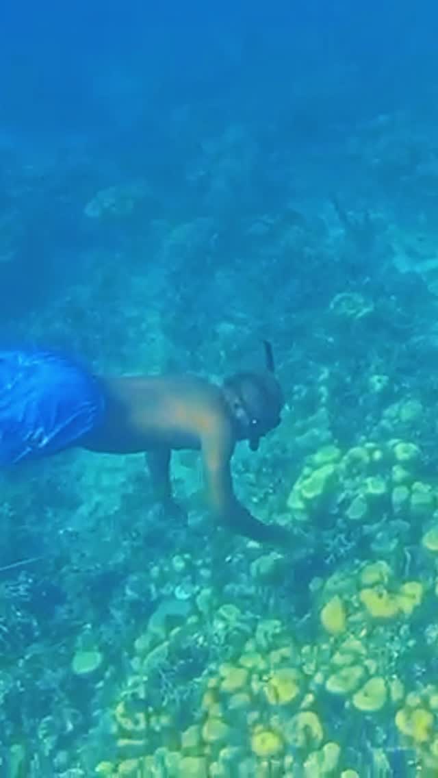Video 6 from Islabela