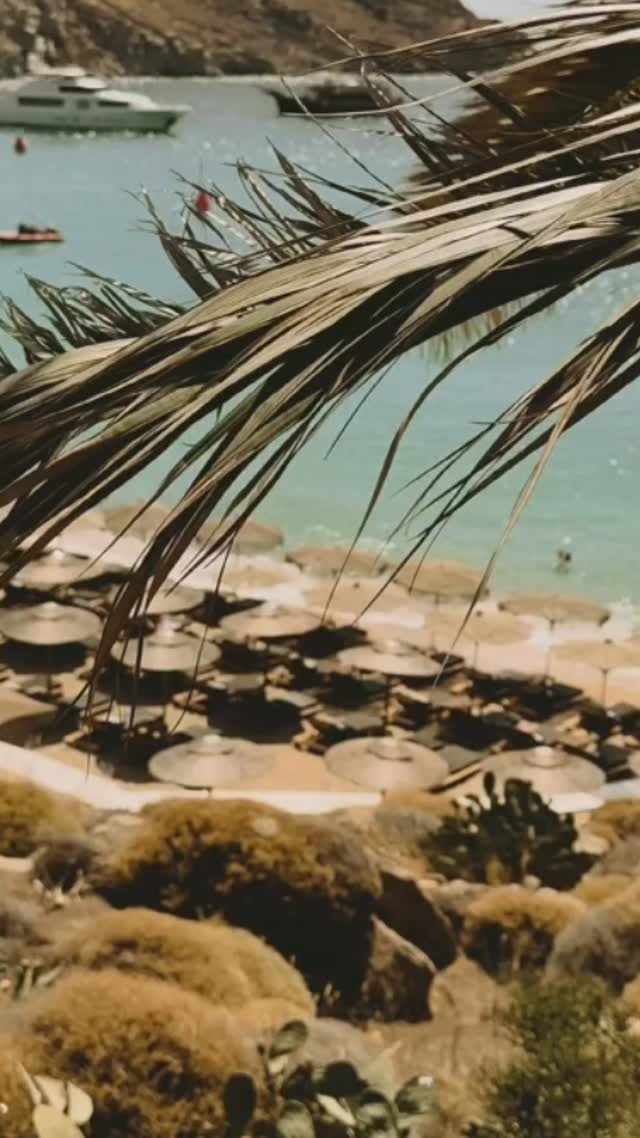 Video 8 from JackieO' Beach Bar