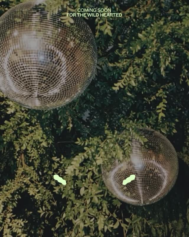 Video 7 from Jeux d'Hiver