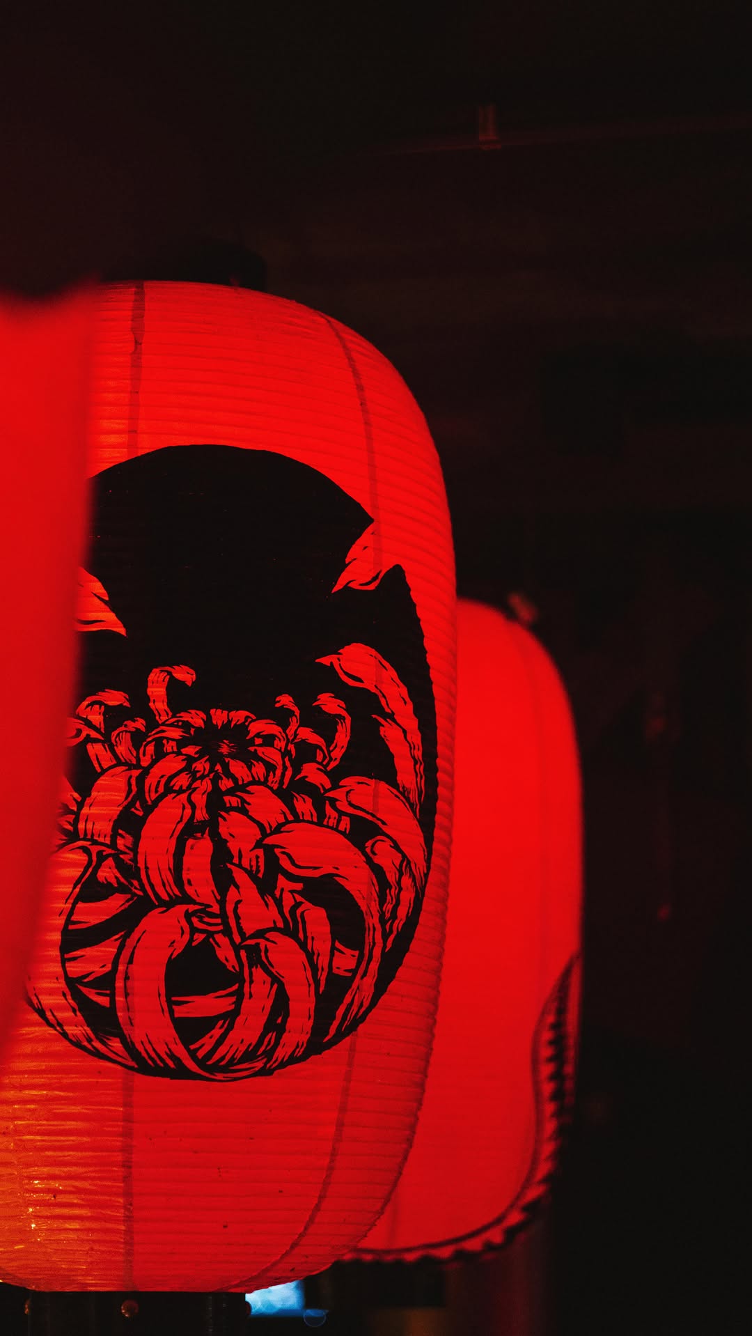 Video 3 from Jimmy Woo