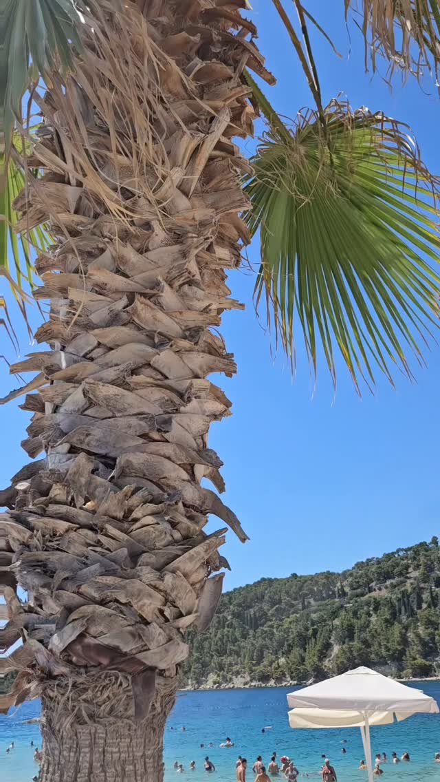 Video 7 from Joe’s Beach Lounge & Bar