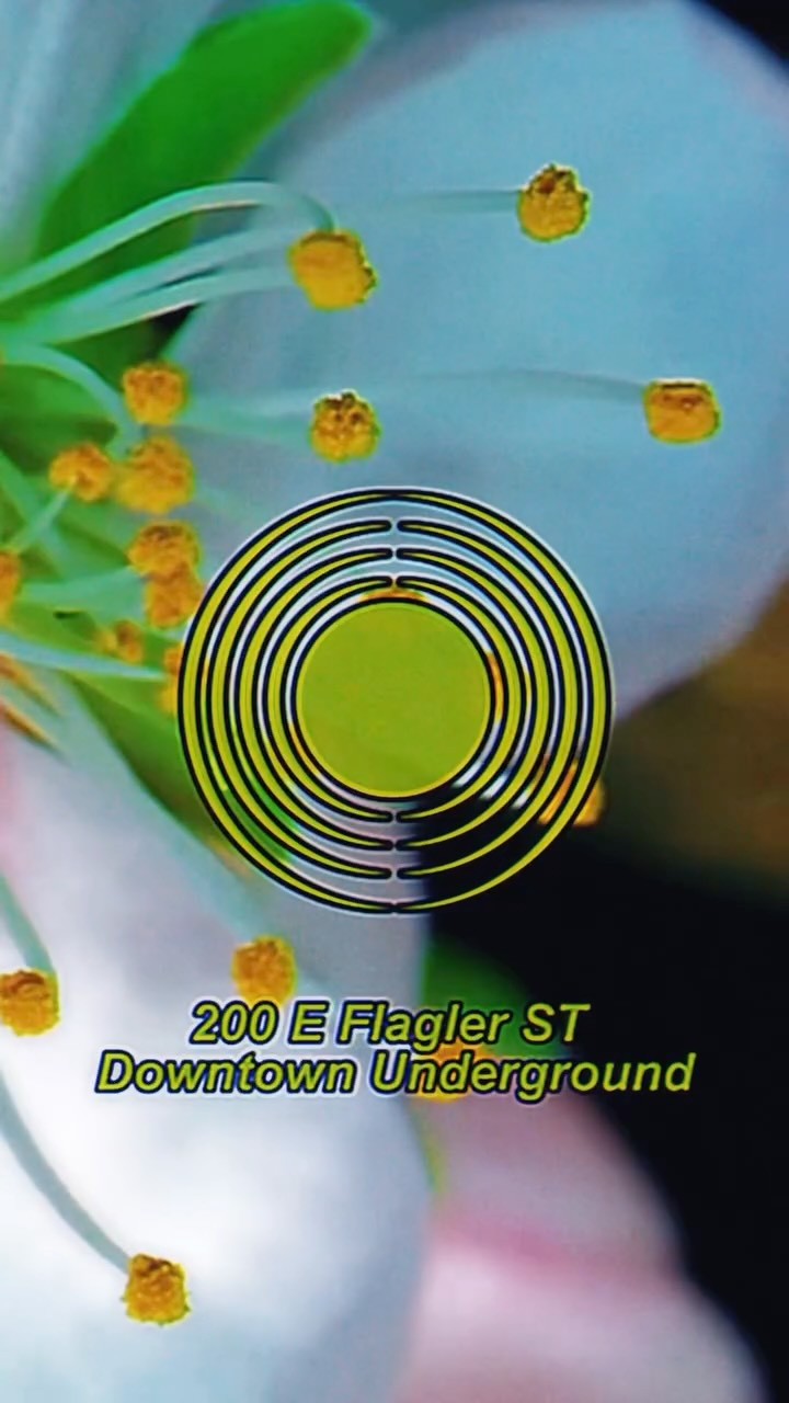 Video 1 from Jolene Sound Room