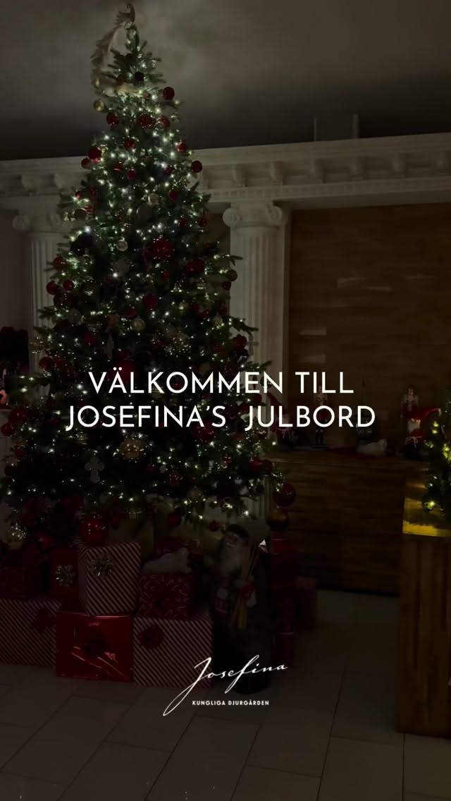 Video 1 from Josefina