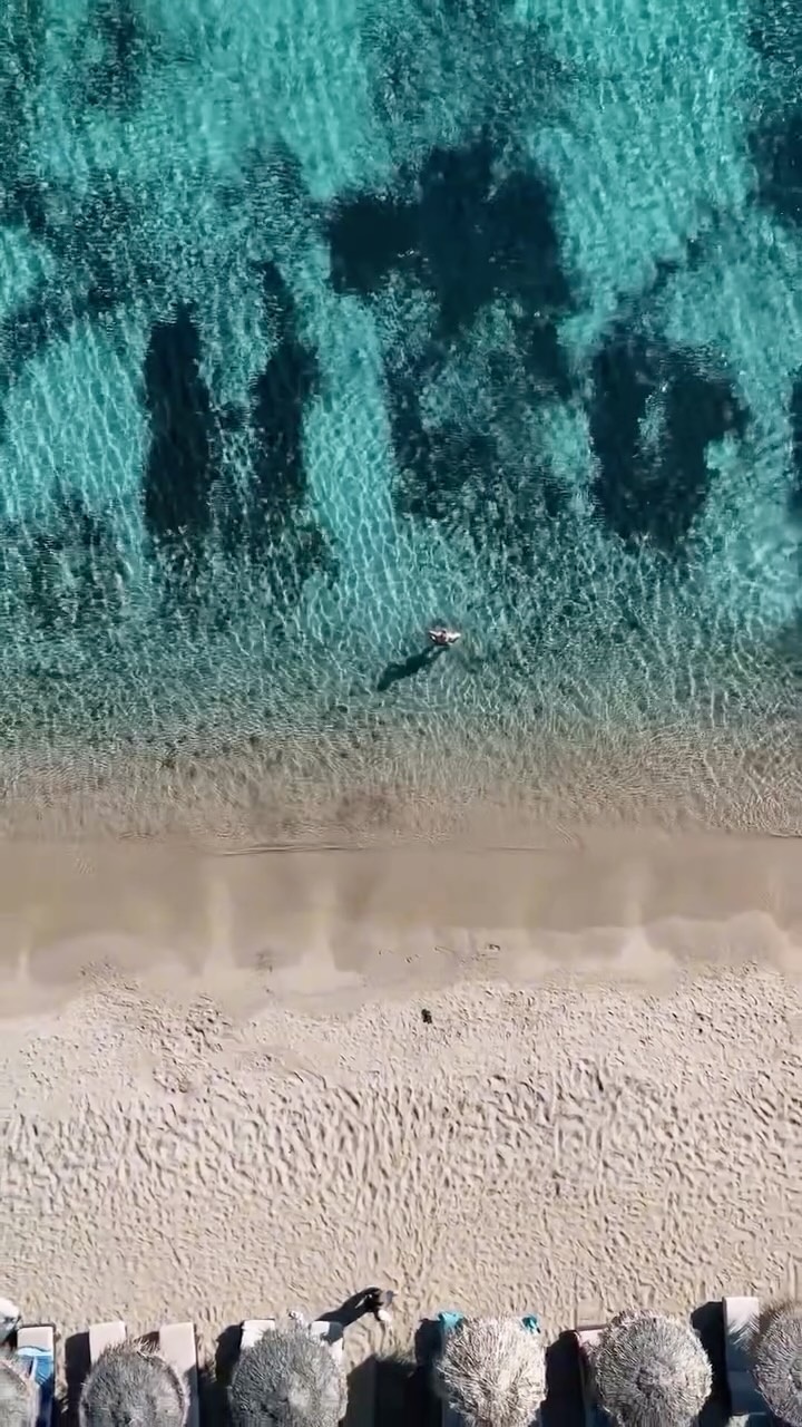 Video 1 from Kahlua Jungleroom
