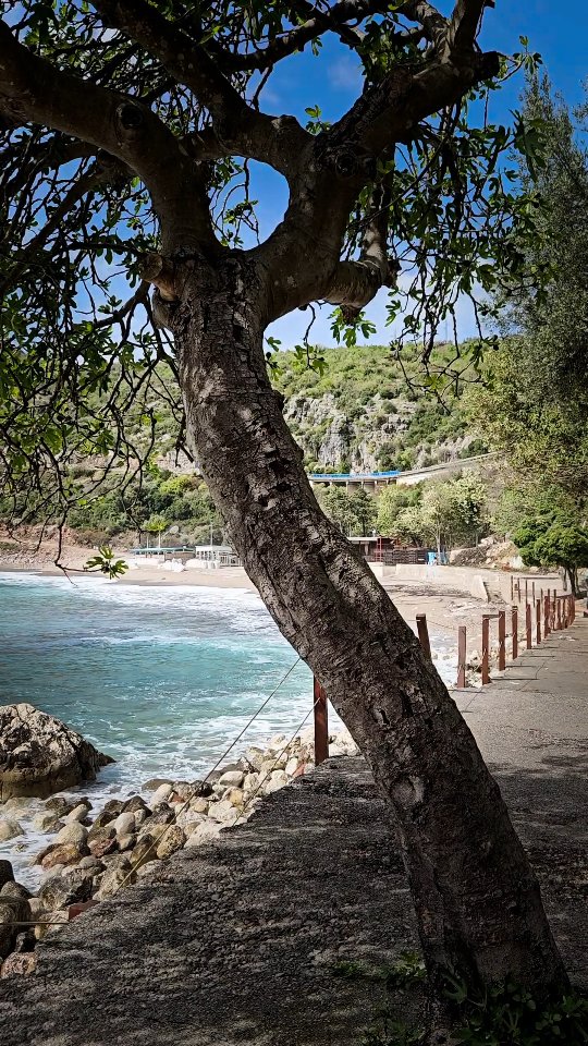 Video 3 from Kamenovo Beach Bar