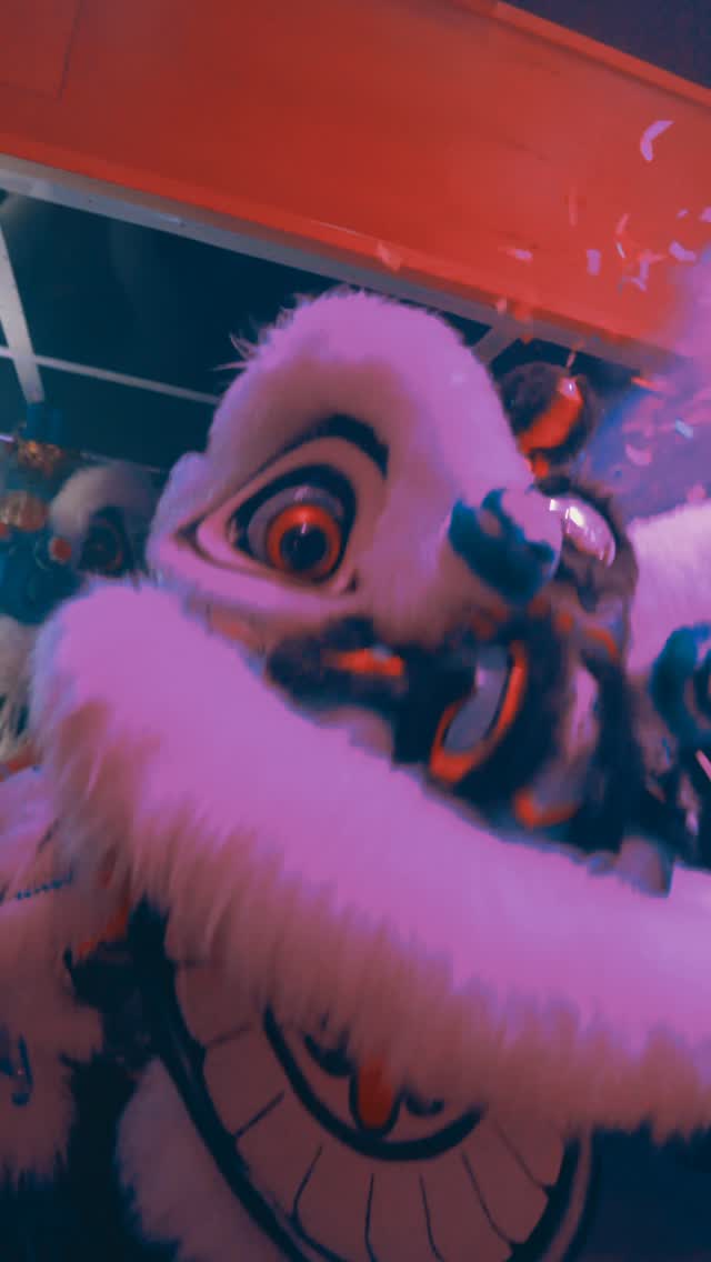 Video 5 from Ki Club
