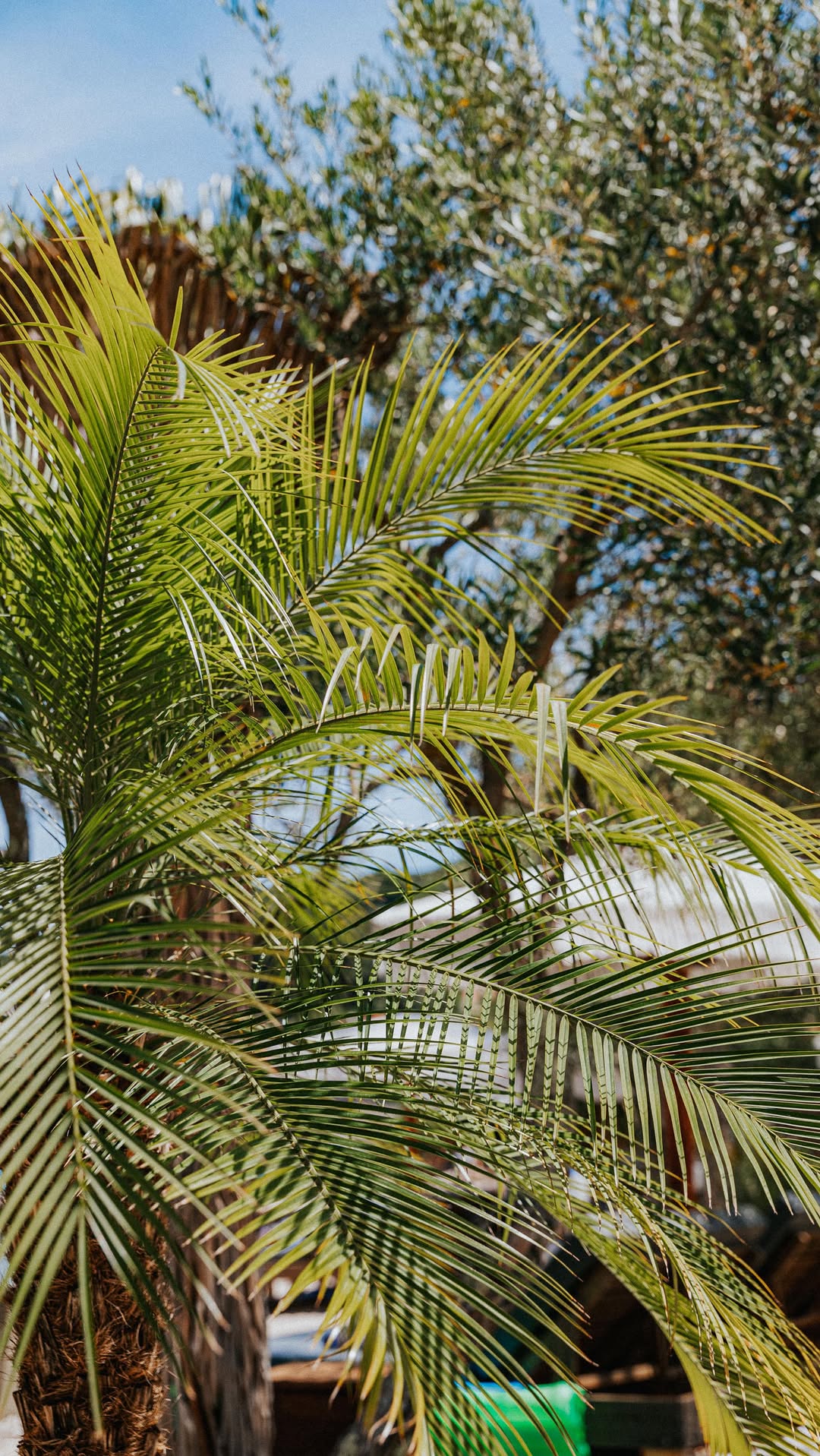 Video 7 from La Banya Beach Club