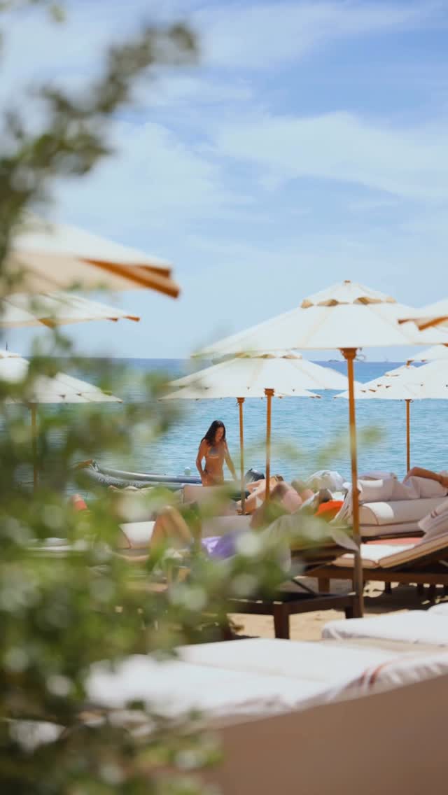 Video 1 from La Réserve à la Plage