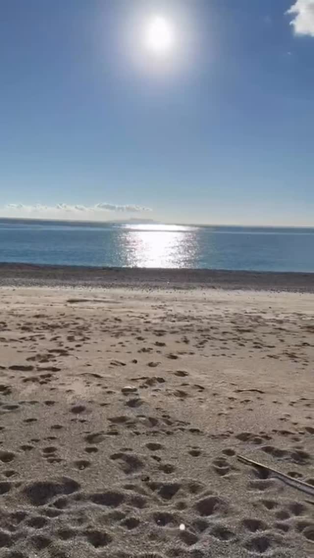 Video 1 from La Siesta Beach Bar