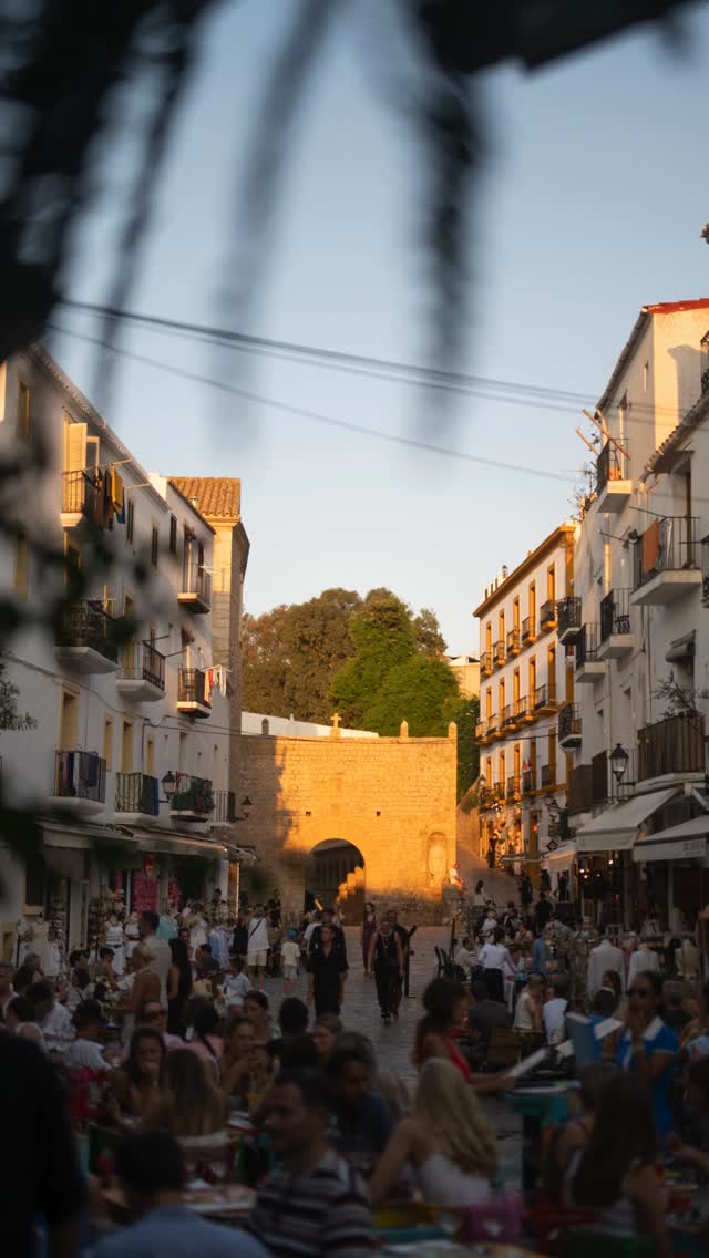 Video 8 from La Torreta
