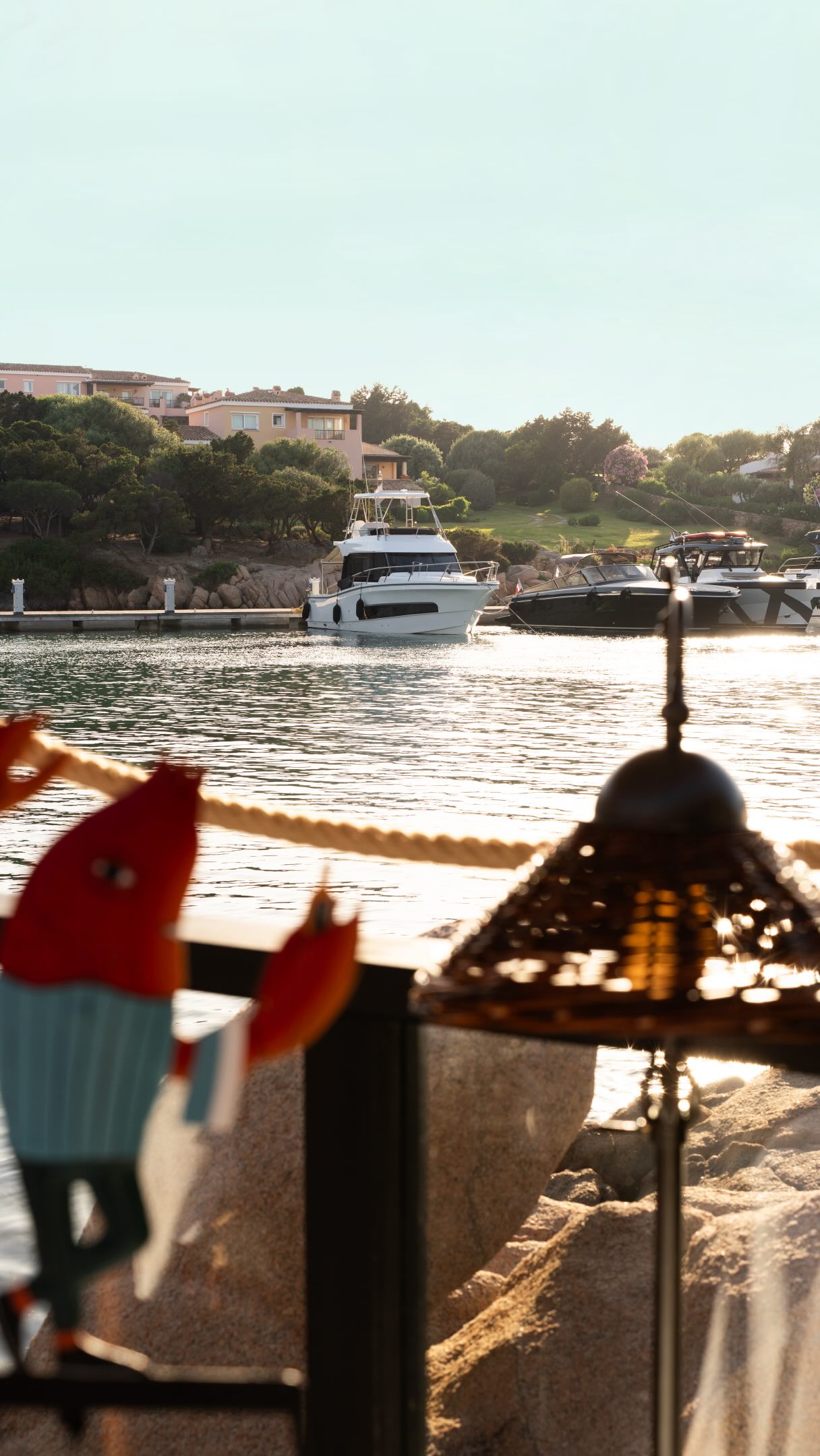 Video 4 from Langosteria