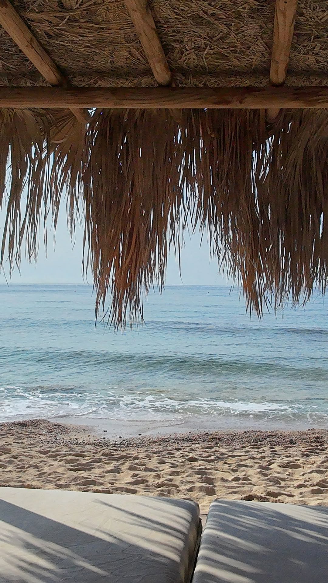 Video 6 from Levels Beach Bar