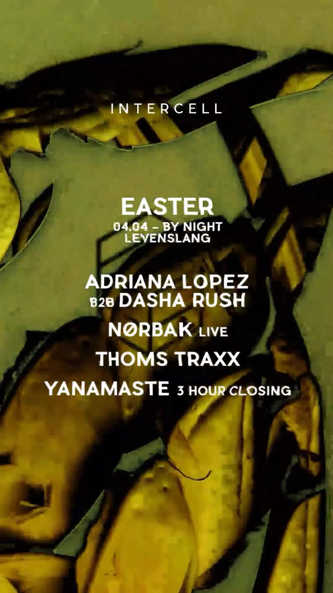 Video 4 from Levenslang