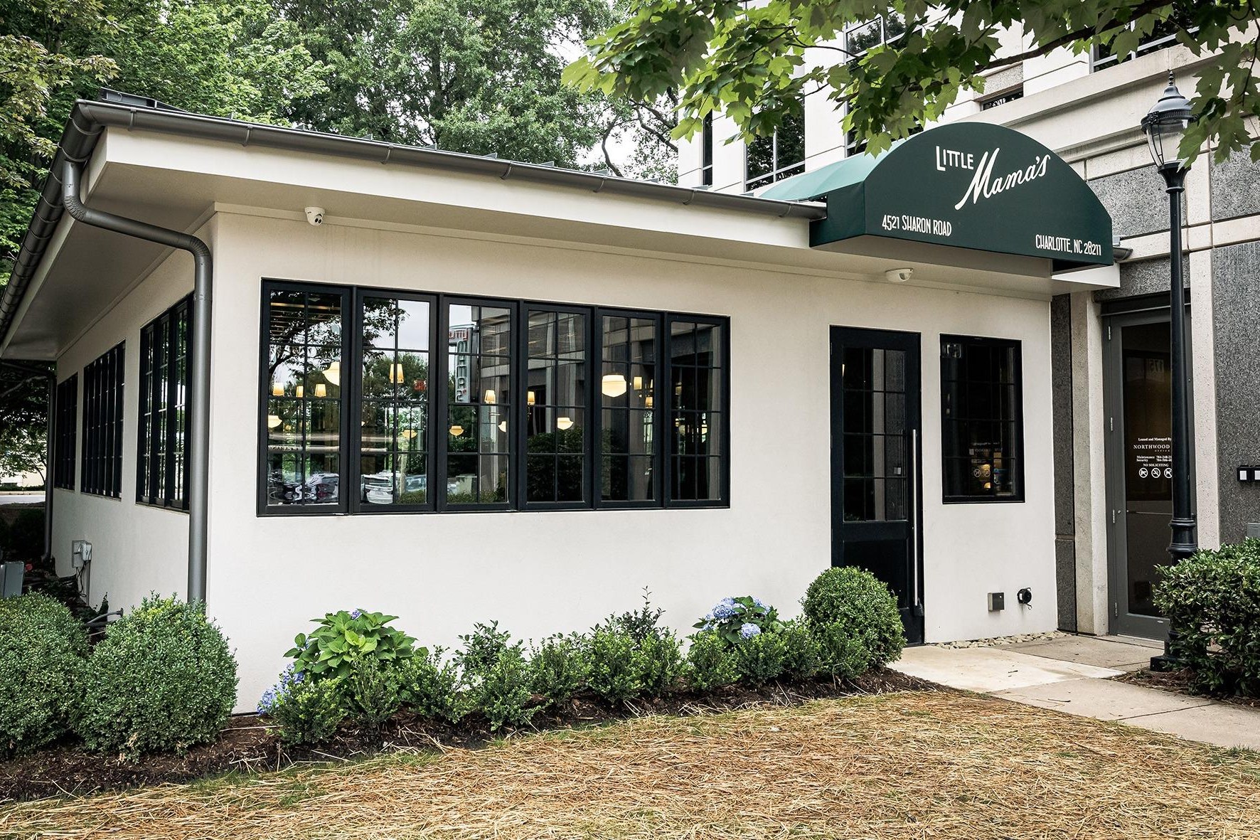 Little Mama's, a restaurant in Charlotte, USA — photo 3