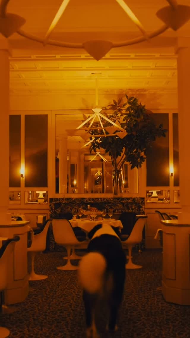 Video 4 from Loulou