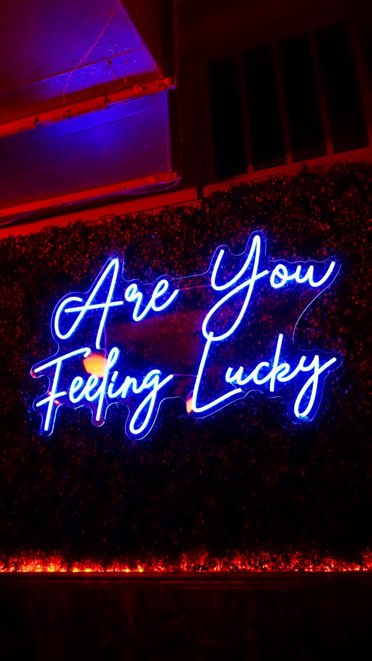 Video 7 from Lucky's Lounge