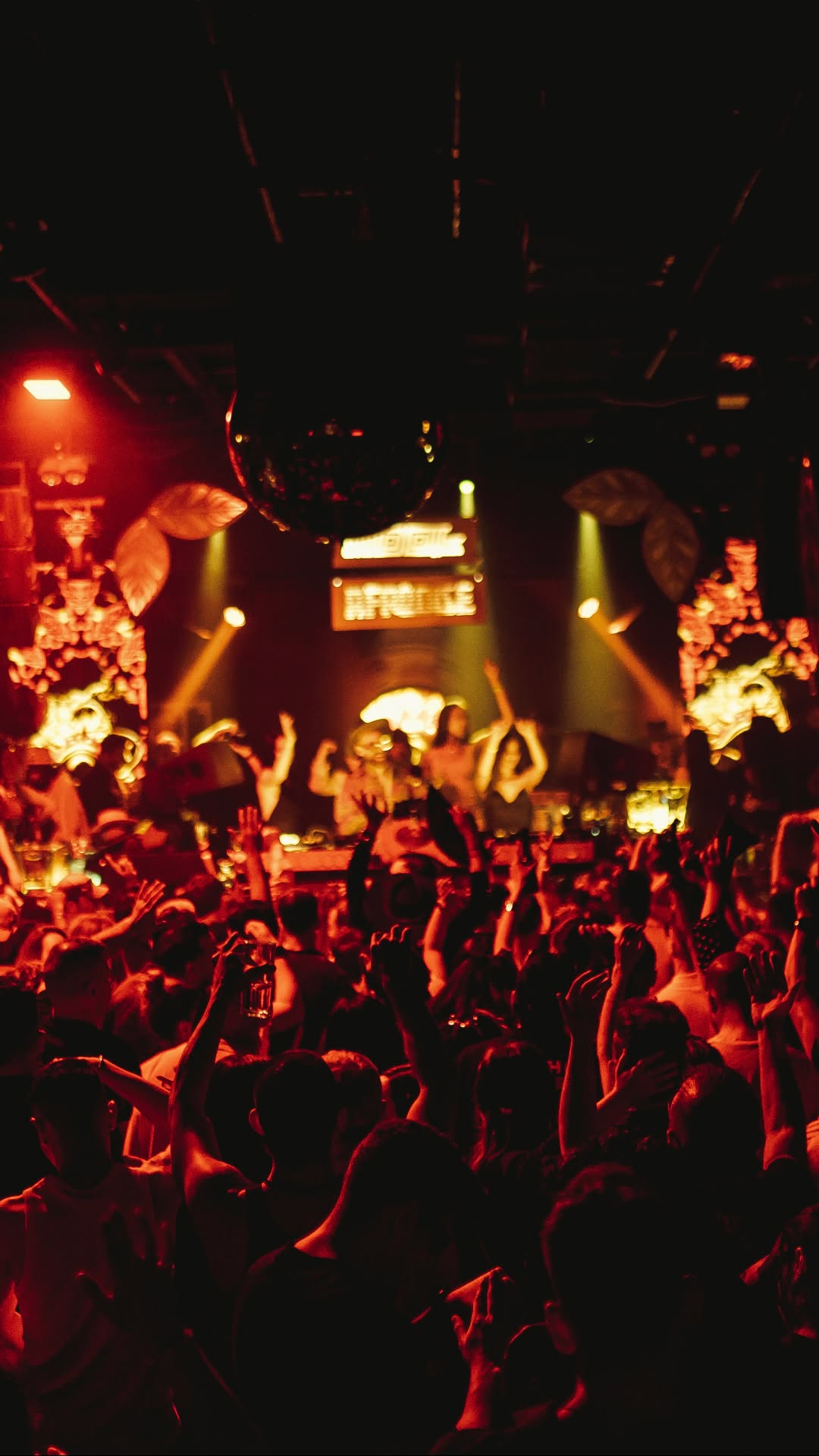 Video 3 from Lula Club